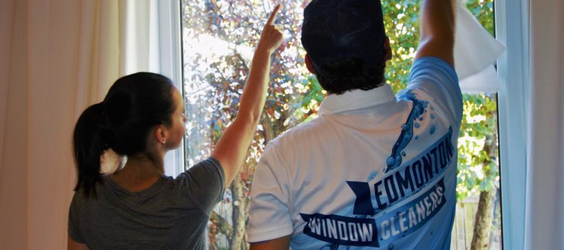 Window Washing Services